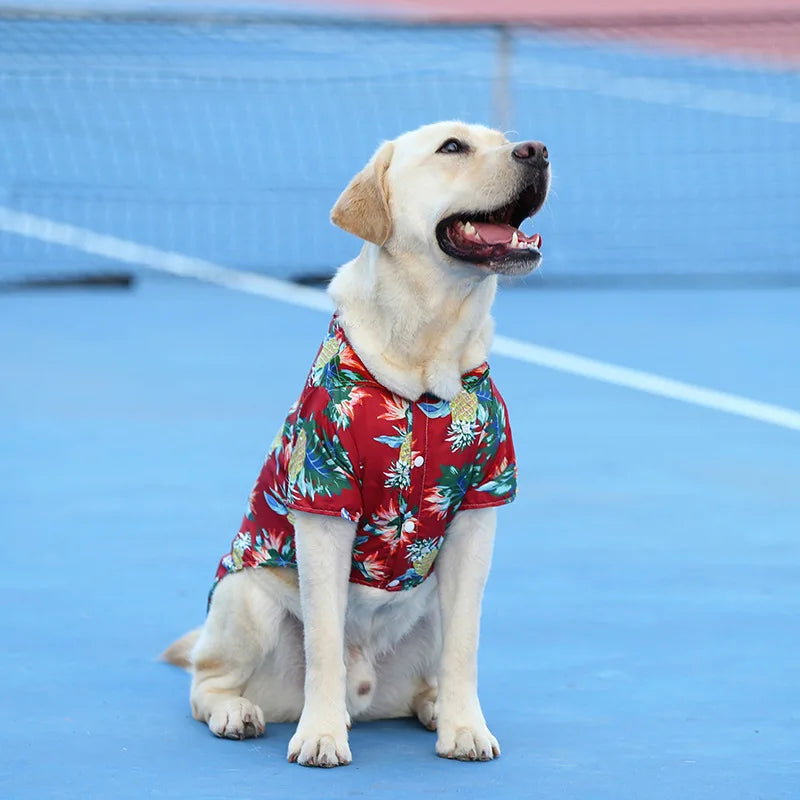 Tropical-Print Collared Dog Shirt