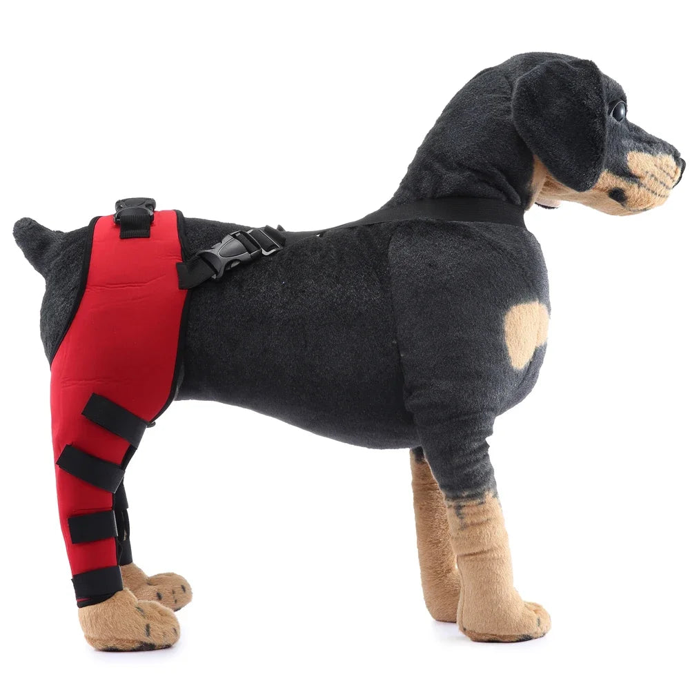 Adjustable Dog Hind-Leg Wraps with Connecting Strap, Pair