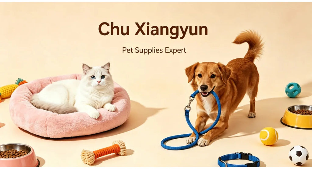 Bolstered Travel Bed with Carry Handles for Small Dogs
