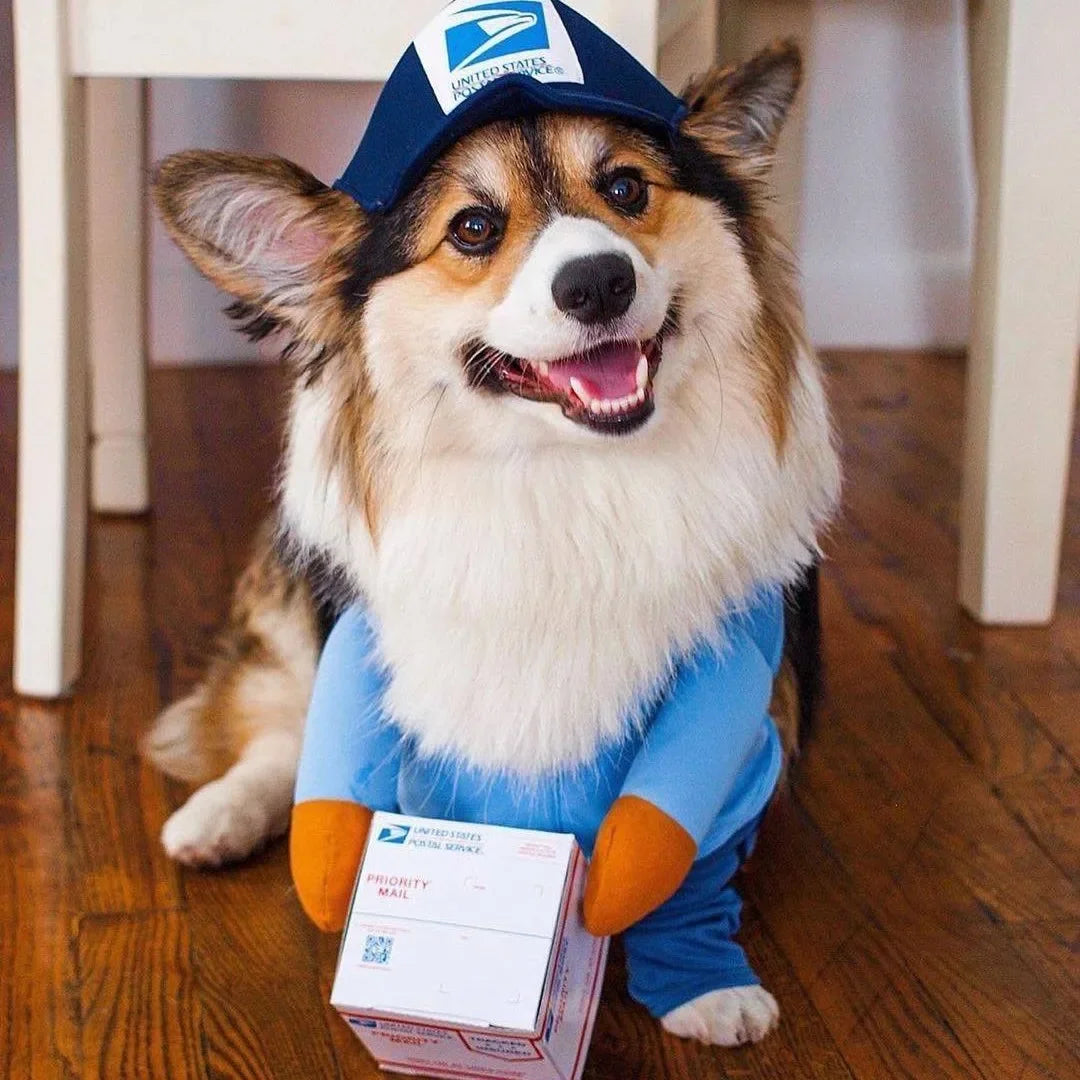Courier Dress-Up Costume for Dogs & Cats