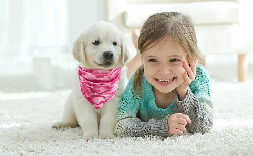 Printed Dog Harness & Coordinating Walking Accessory Set