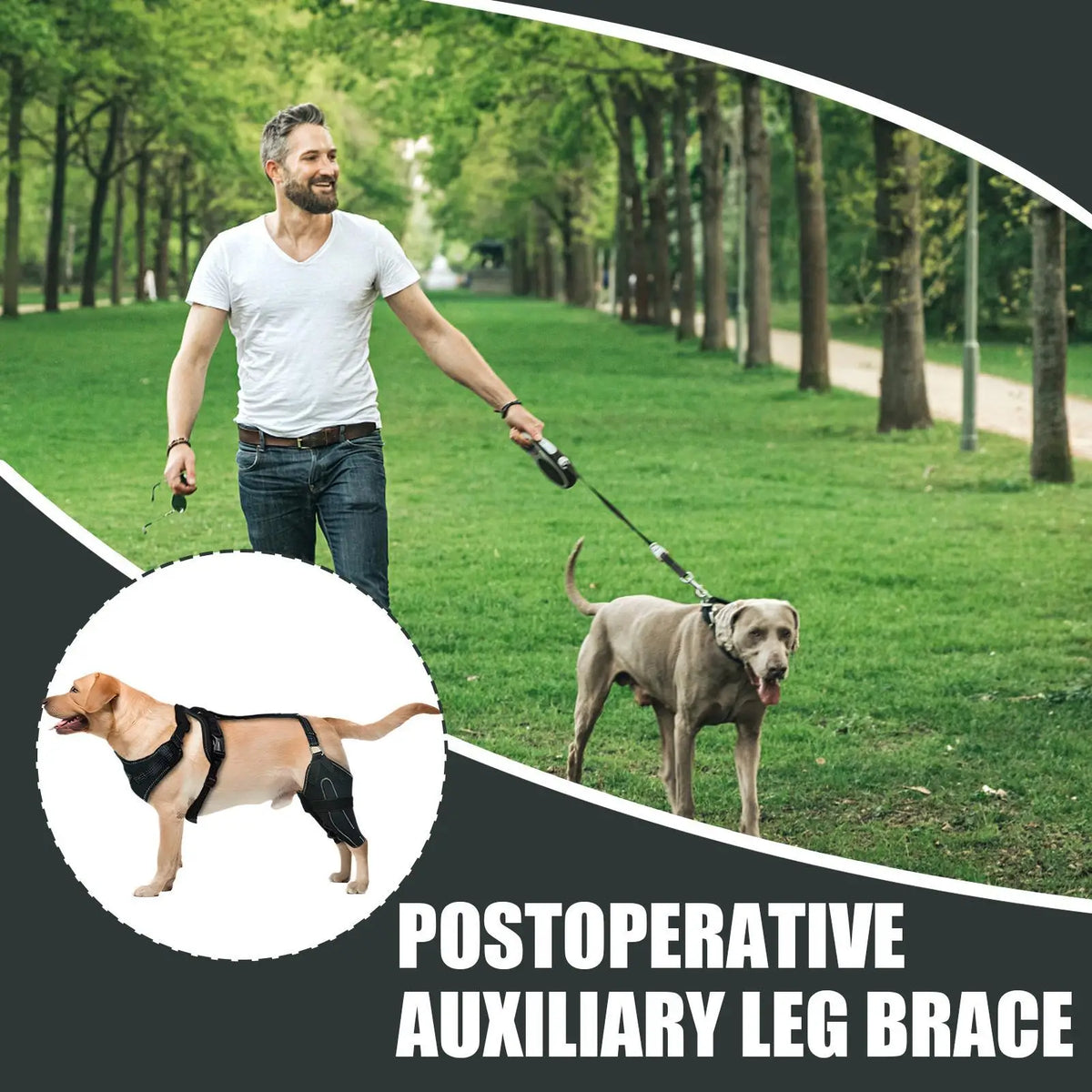Dog Rear-Leg Brace with Adjustable Chest Harness