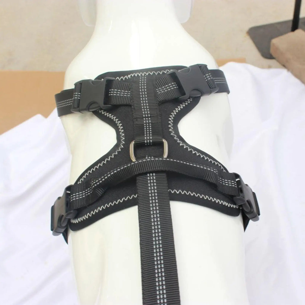 Dog Rear-Leg Brace with Adjustable Chest Harness