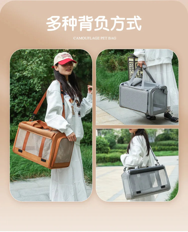 Foldable Mesh Pet Carrier with Front & Top Access
