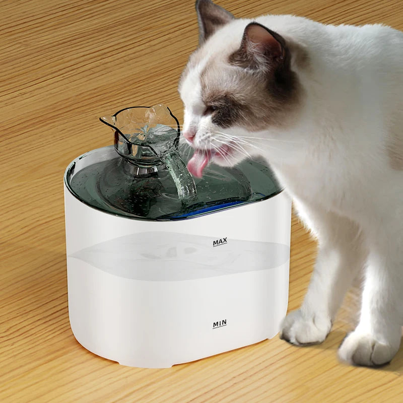 2L Pet Water Fountain with Removable Reservoir
