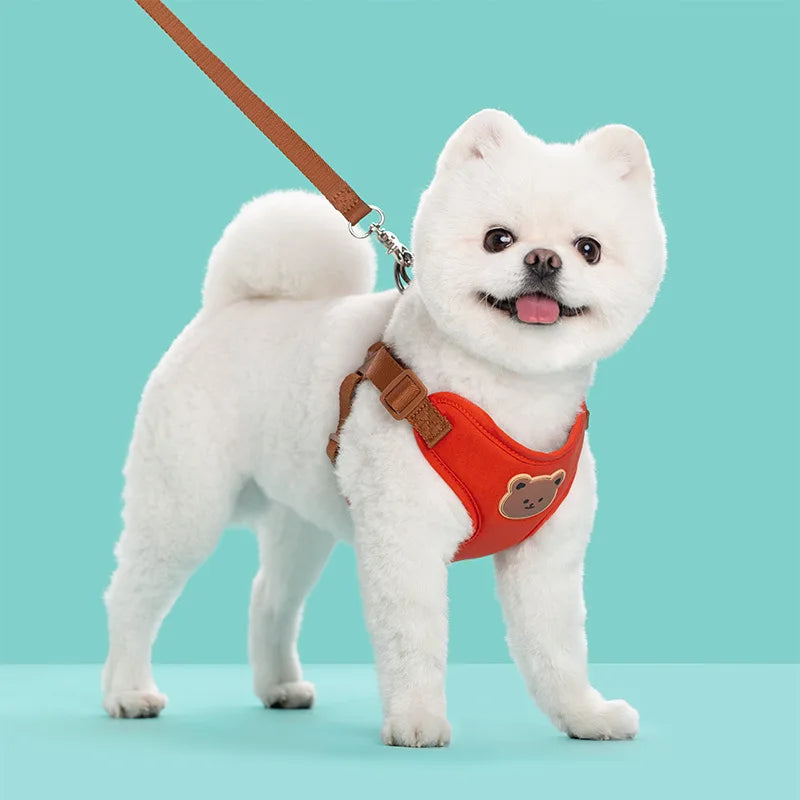 Bear-Patch Pet Harness & Matching Leash Set