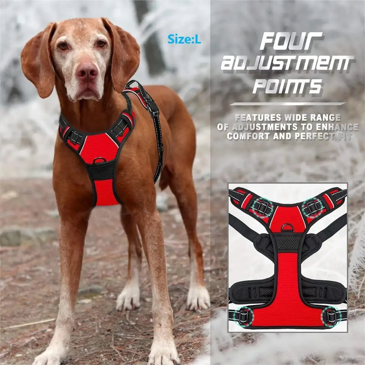 Adjustable Dog Vest Harness with Contrast Trim