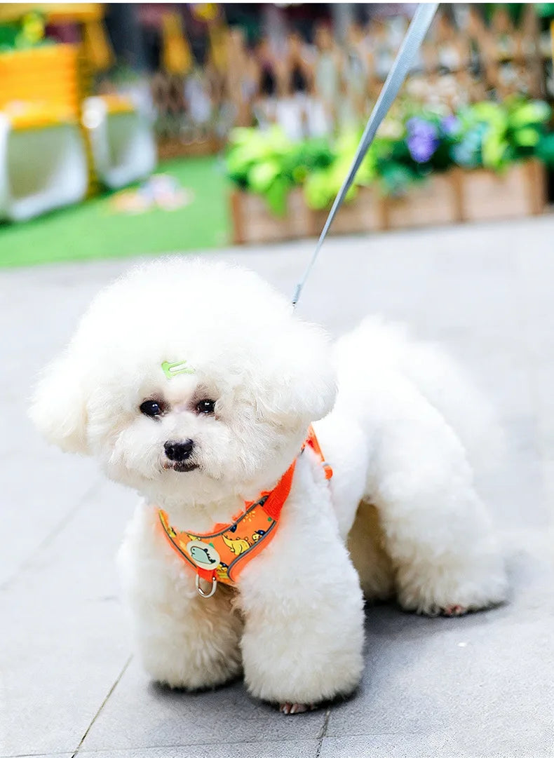 Cartoon-Print Pet Vest Harness, Harness or Leash Option