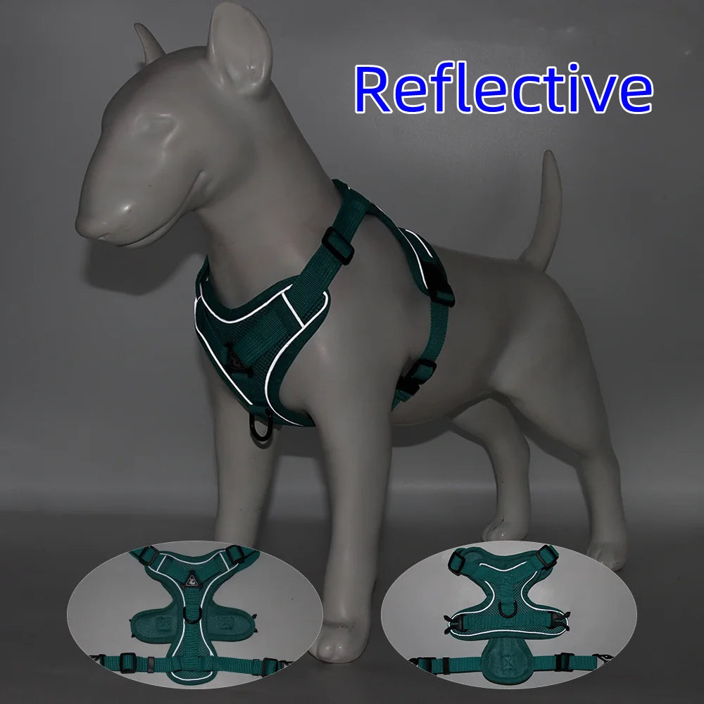 Solid-Color Mesh Pet Harness & 150 cm Leash Set