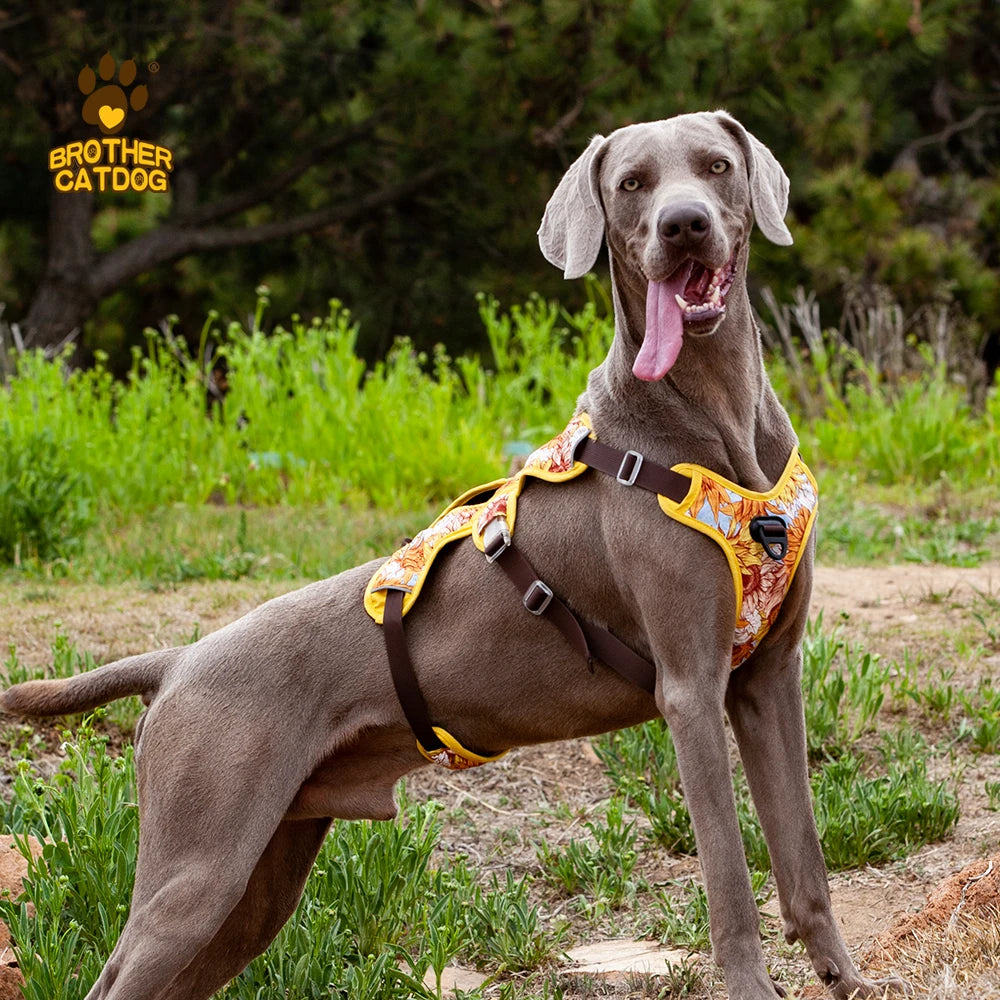 Adjustable Padded Nylon Dog Harness with Reflective Details