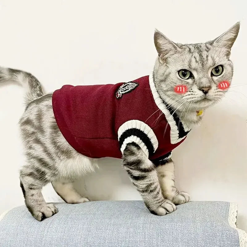 Varsity-Style V-Neck Pet Sweater