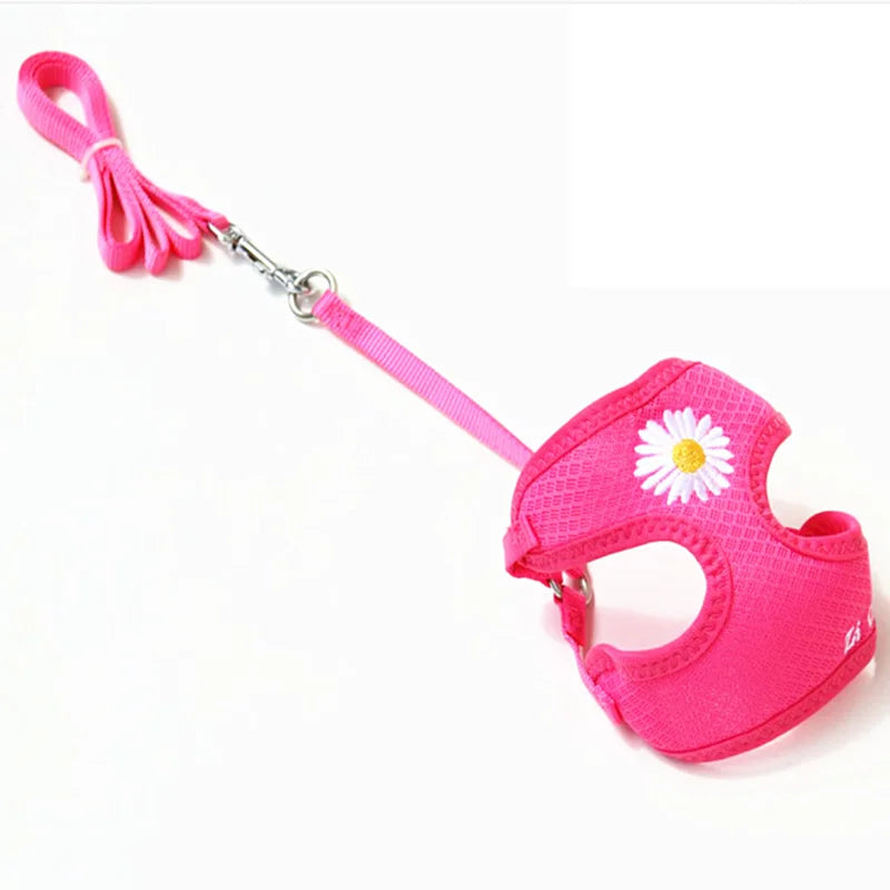 Daisy-Embroidered Mesh Pet Harness & Matching Leash Set