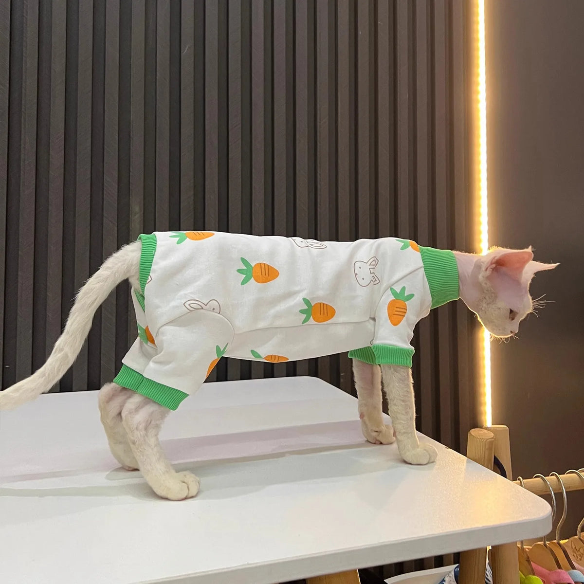 Bunny & Carrot Cat Jumpsuit with Green Trim