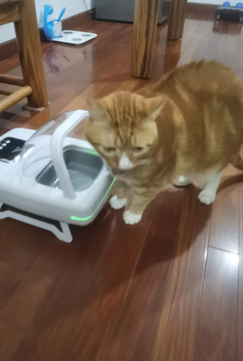 1.5L RFID Pet Feeder with Access-Control Lid