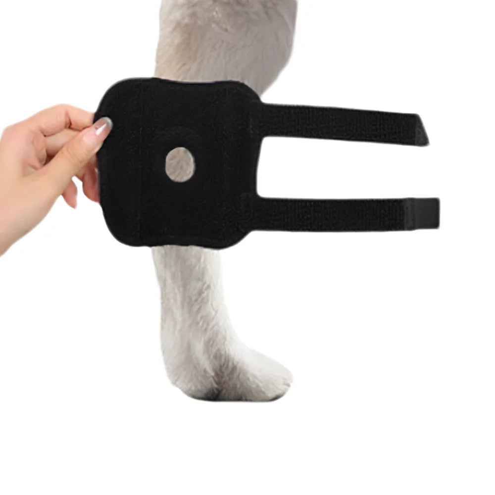 Adjustable Dog Hock Wrap in Black, Single