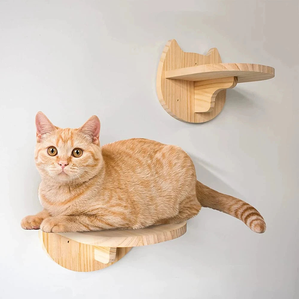 Wall-Mounted Cat Shelves, Steps & Lounging Options