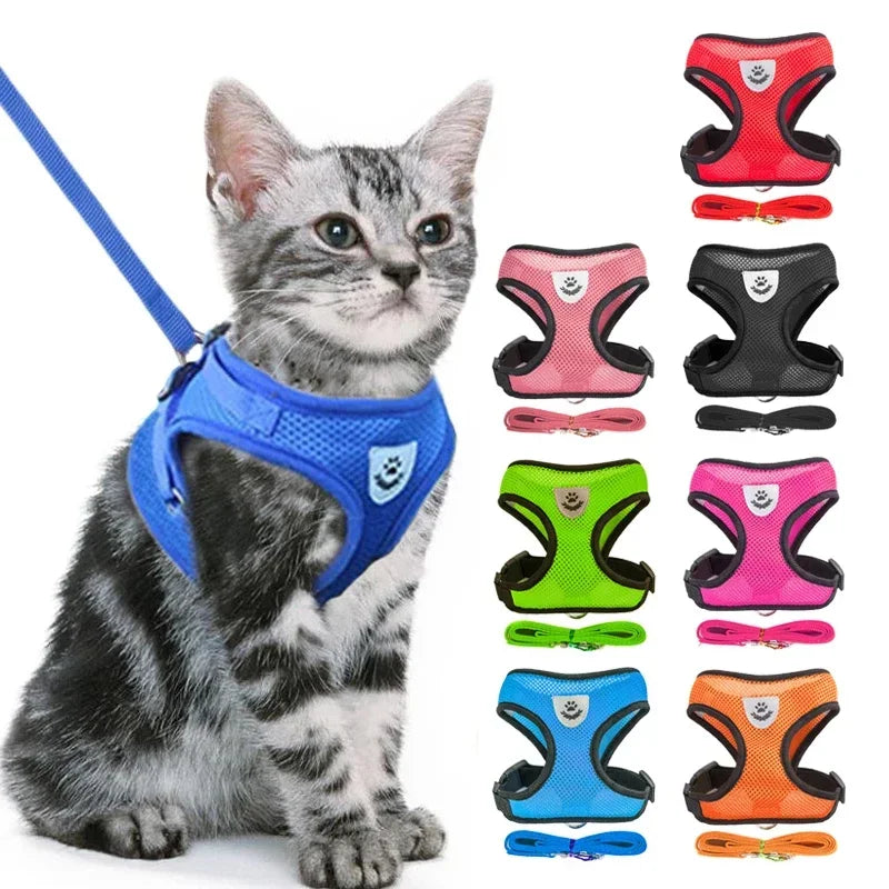 Adjustable Mesh Pet Harness & 120 cm Leash Set
