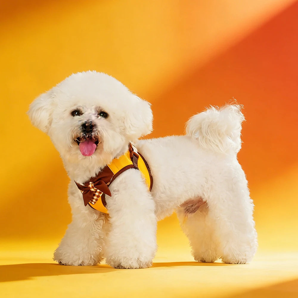 Bow-Detail Pet Vest Harness with Gingham Accent