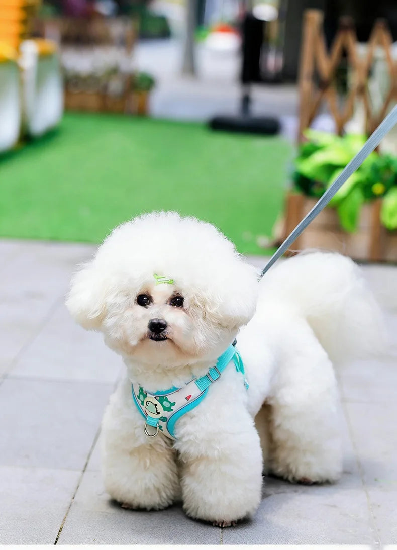 Cartoon-Print Pet Vest Harness, Harness or Leash Option