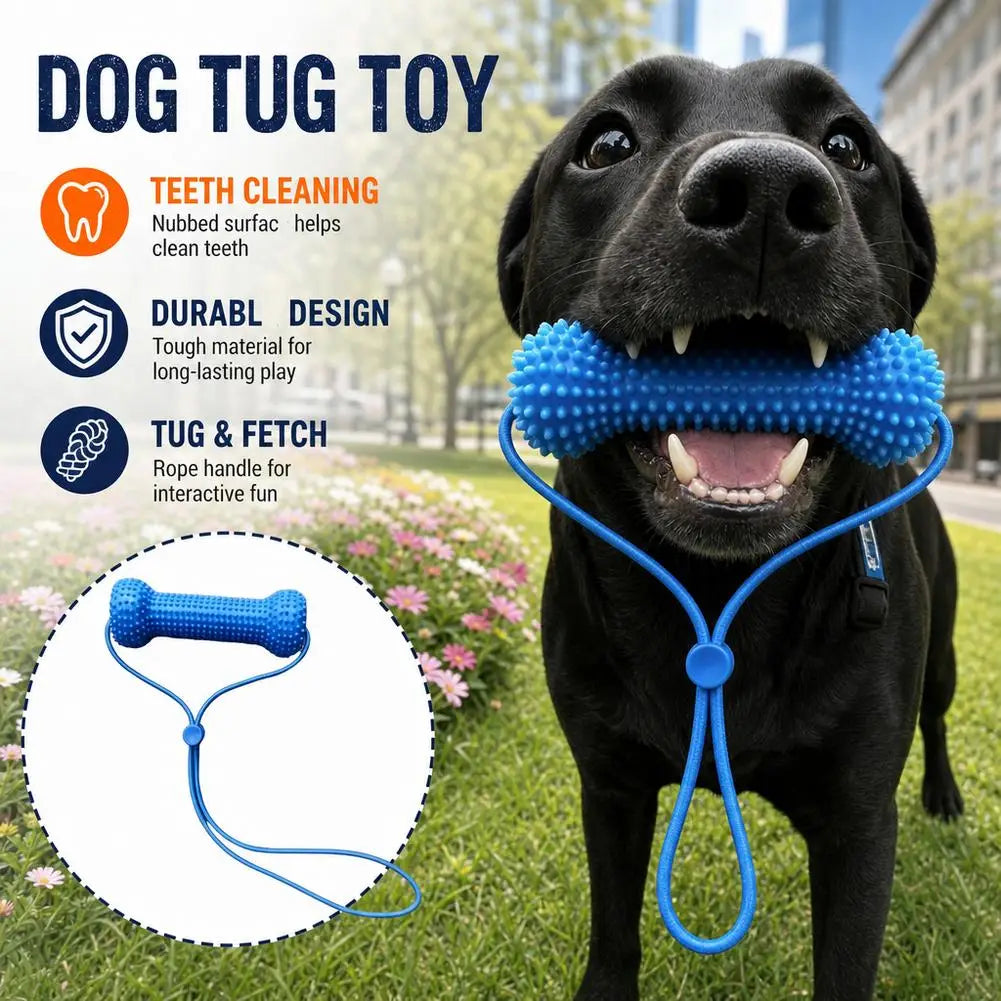 Blue Textured Bone Dog Toy with Play Cord