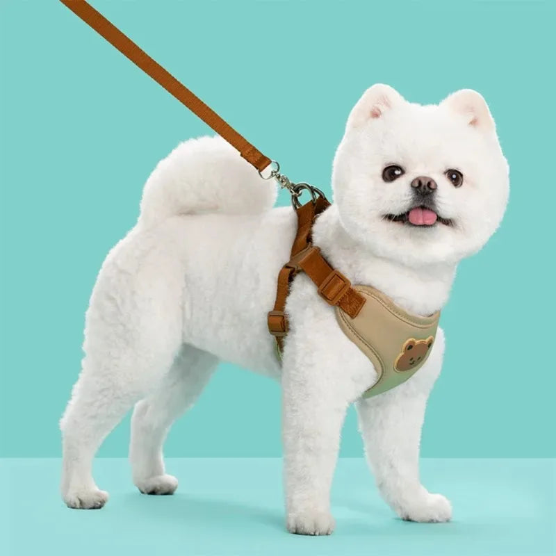 Bear-Detail Pet Harness & Leash Set with Mesh Lining
