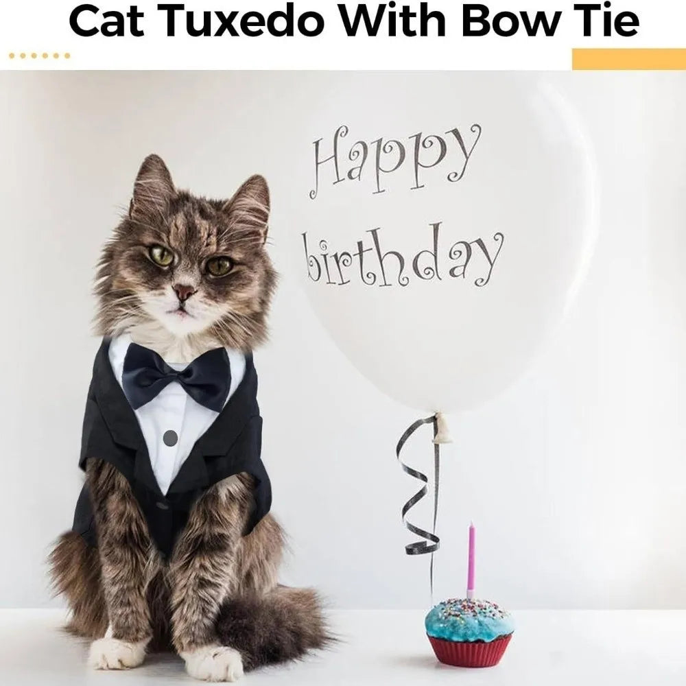 Bow-Tie Cat Tuxedo in Black or Grey