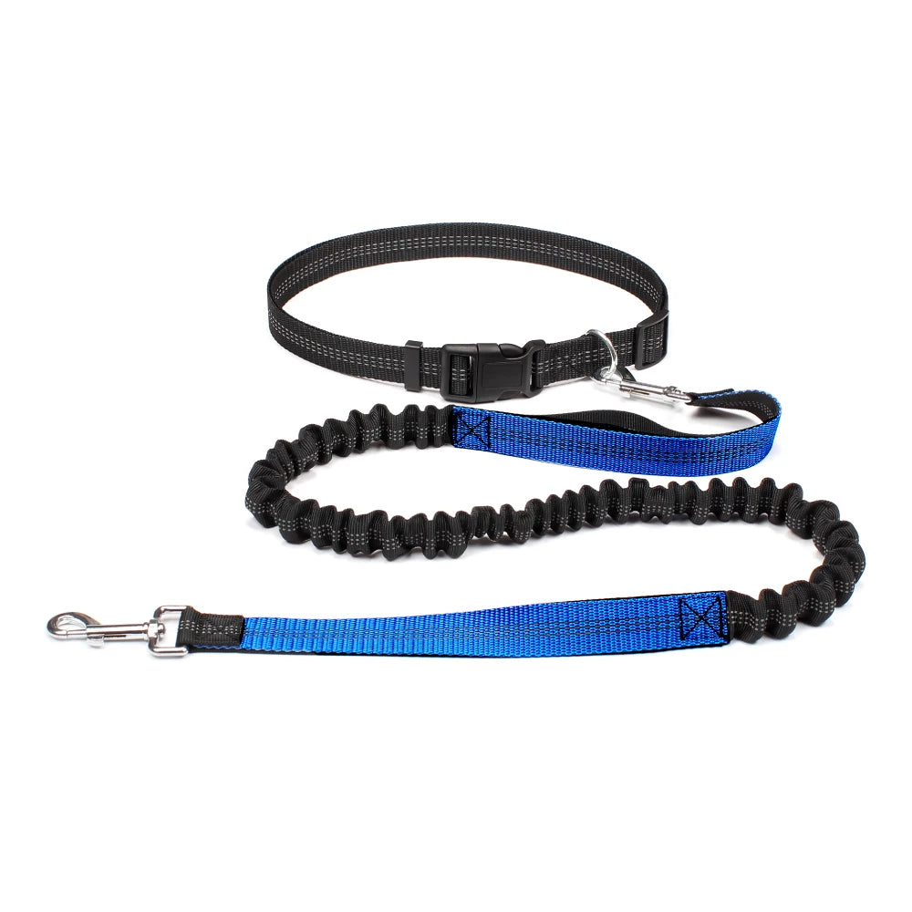 Waist-Belt Dog Leash Set with Bungee Sections