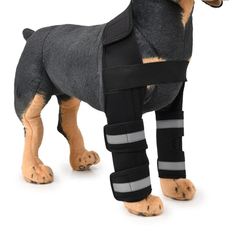 Dog Front-Leg Brace Set with Connecting Straps