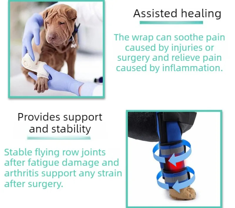 Dog Front-Leg Brace Set with Connecting Straps