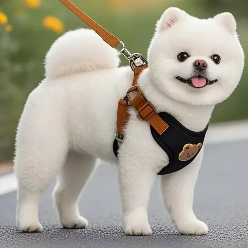 Bear-Detail Adjustable Pet Harness & 150 cm Leash Set