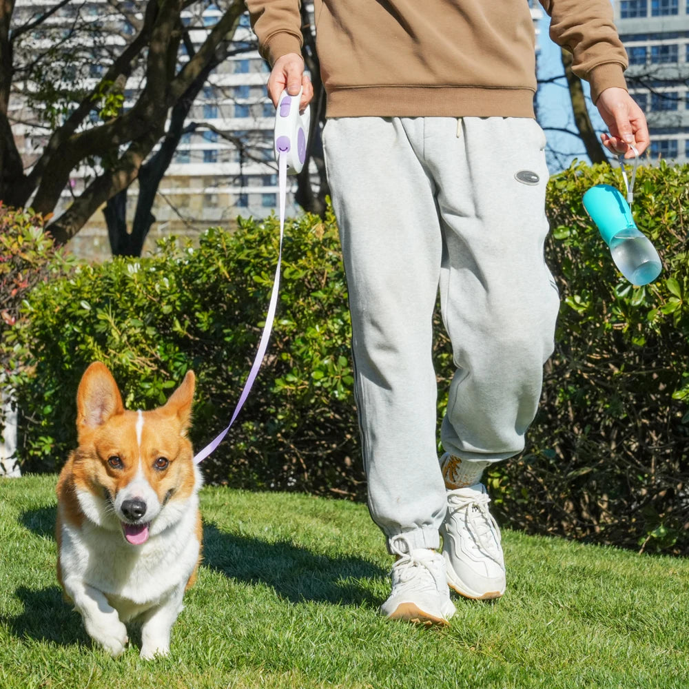 300 ml Portable Pet Water Bottle with Carry Strap