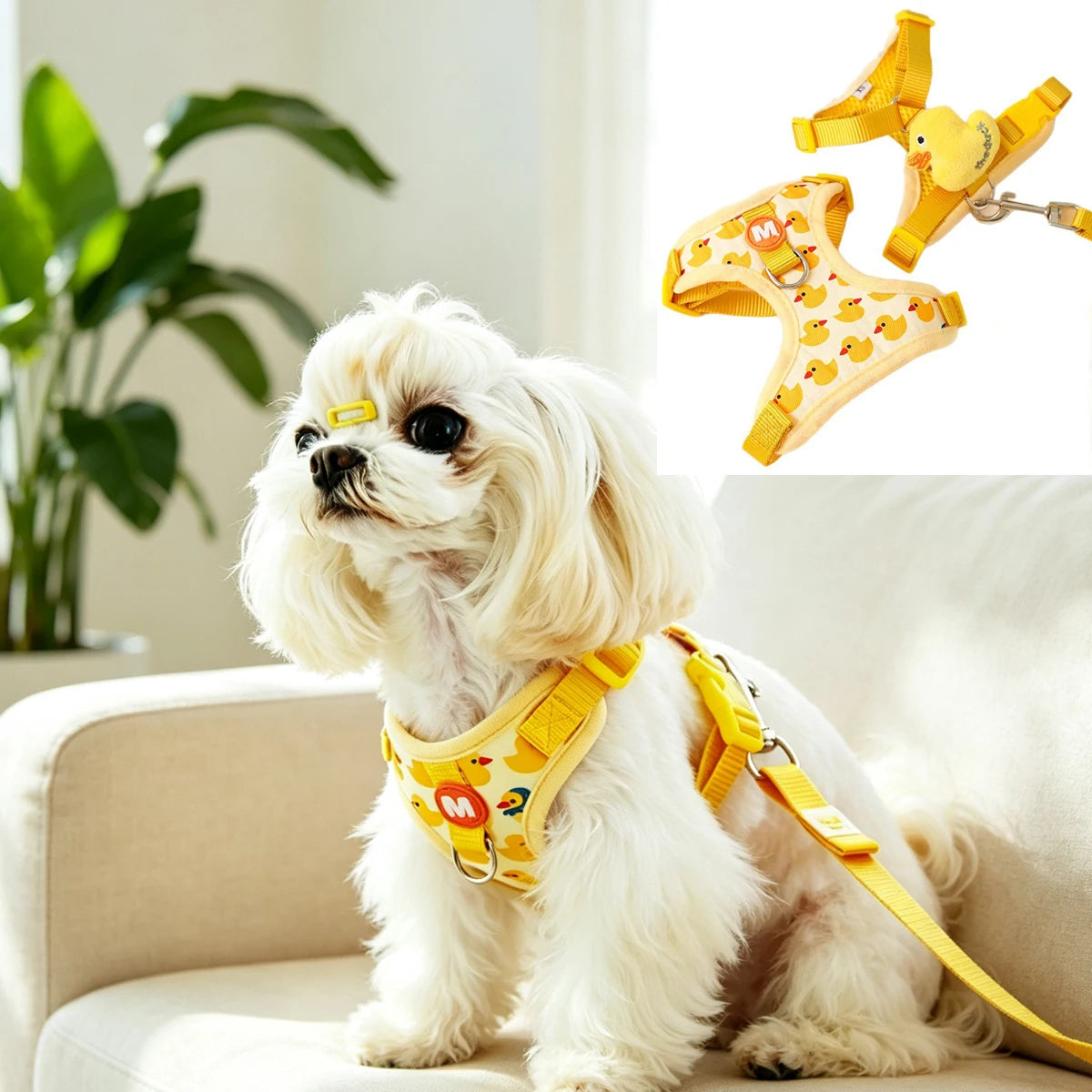 Animal-Detail Mesh Pet Harness & 150 cm Leash Set