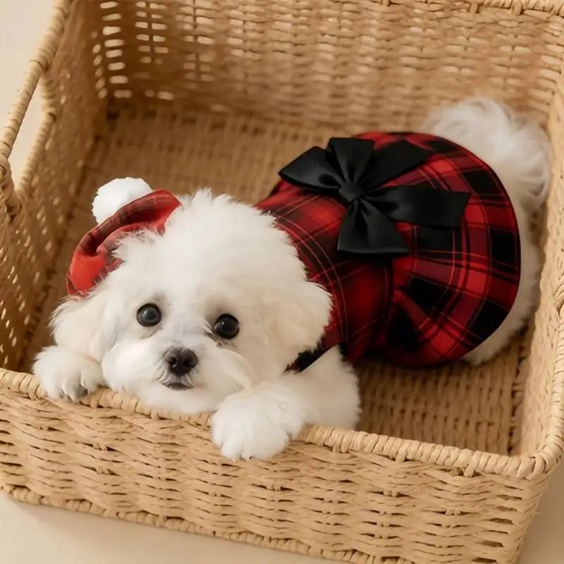 Red Tartan Pet Dress with Black Bow