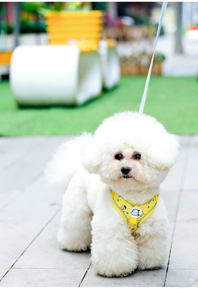 Cartoon-Print Pet Vest Harness, Harness or Leash Option