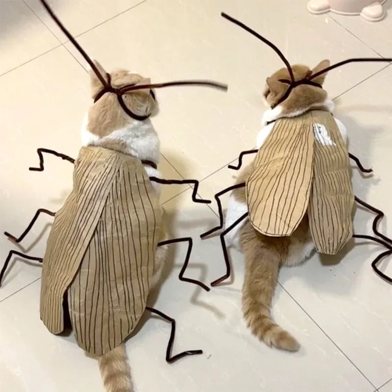 DIY Cockroach Cat Costume Material Kit