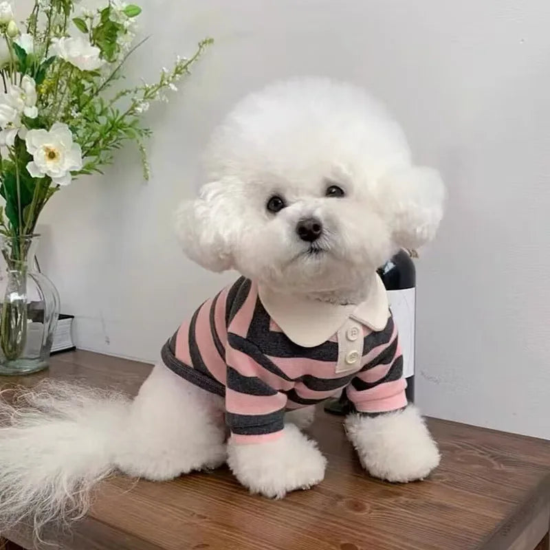 Striped Pet Polo Shirt with Contrast Collar