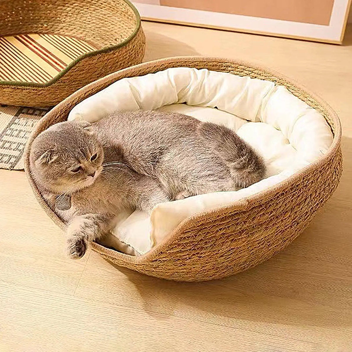 Woven Cotton Rope Cat Bed with Pillow & Pad