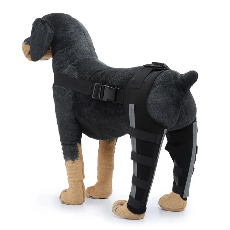 Adjustable Dog Hind-Leg Wraps with Connecting Strap, Pair