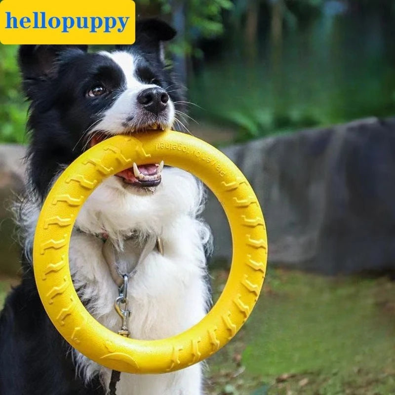 Textured Dog Fetch Ring, Small & Large Options