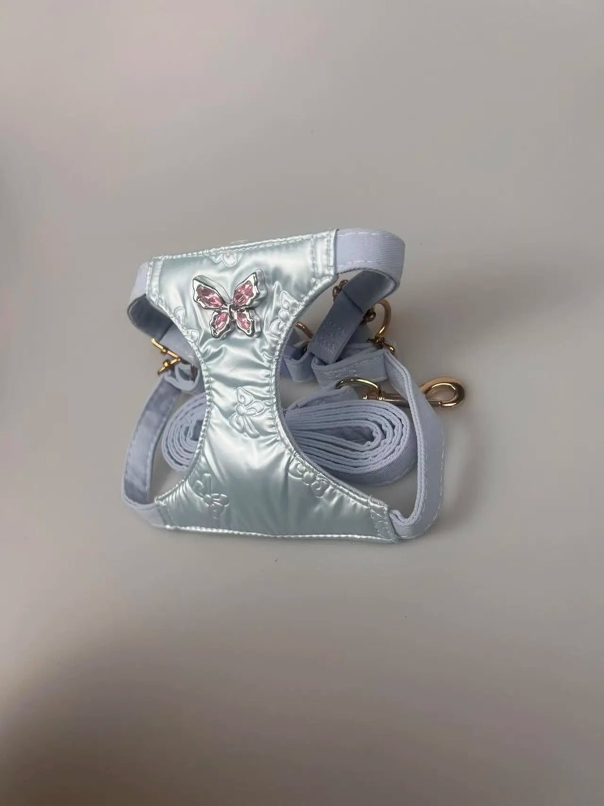 Butterfly-Gem Pet Harness & 1.2 m Leash Set