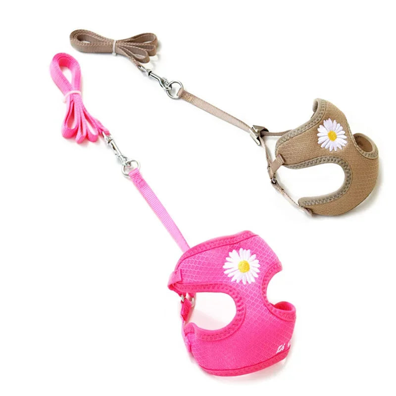 Daisy-Embroidered Mesh Pet Harness & 120 cm Leash Set
