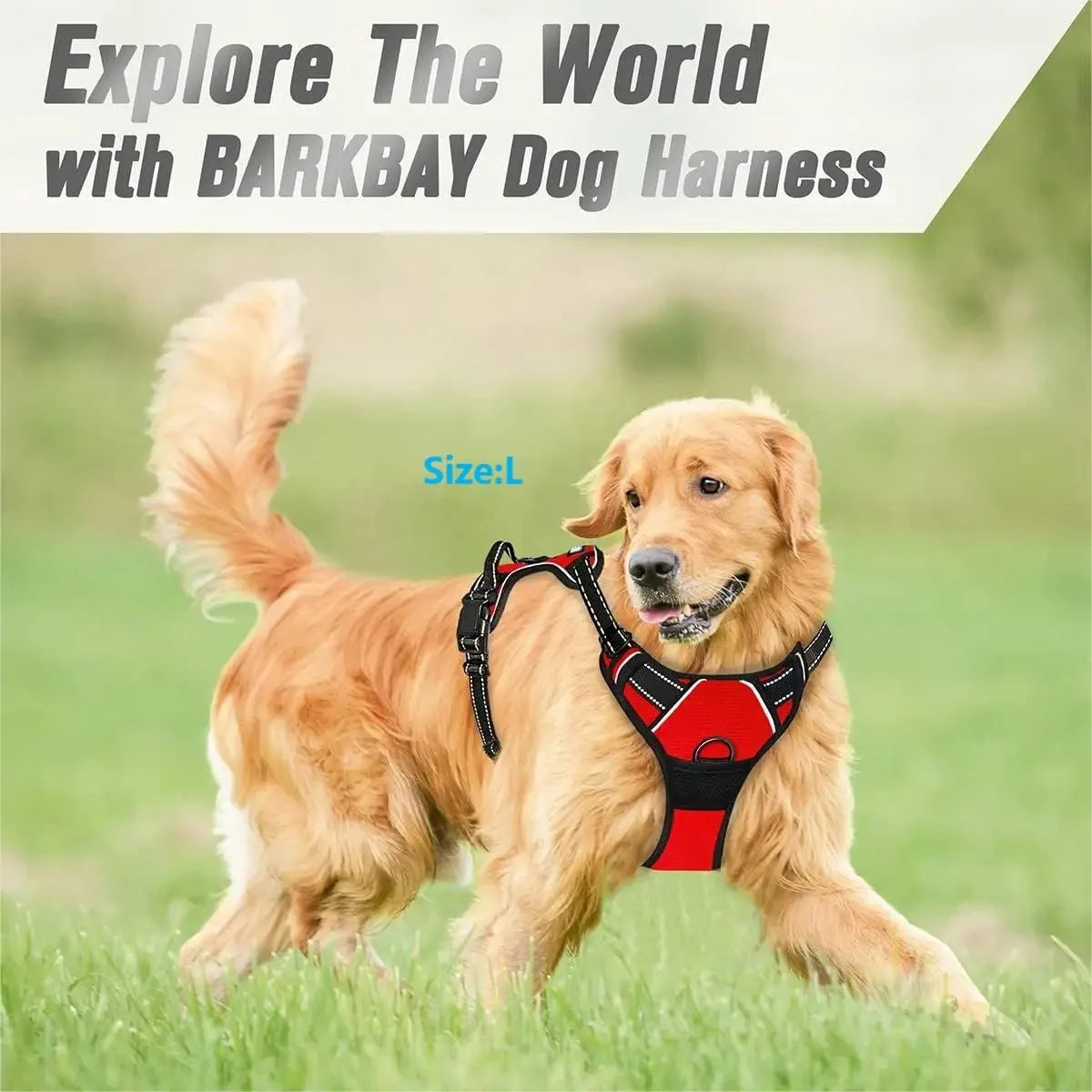 Adjustable Dog Vest Harness with Contrast Trim