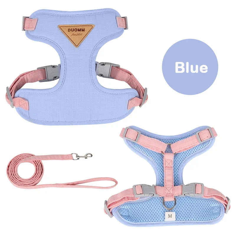 Colorblock Pet Harness & Coordinating Leash Set