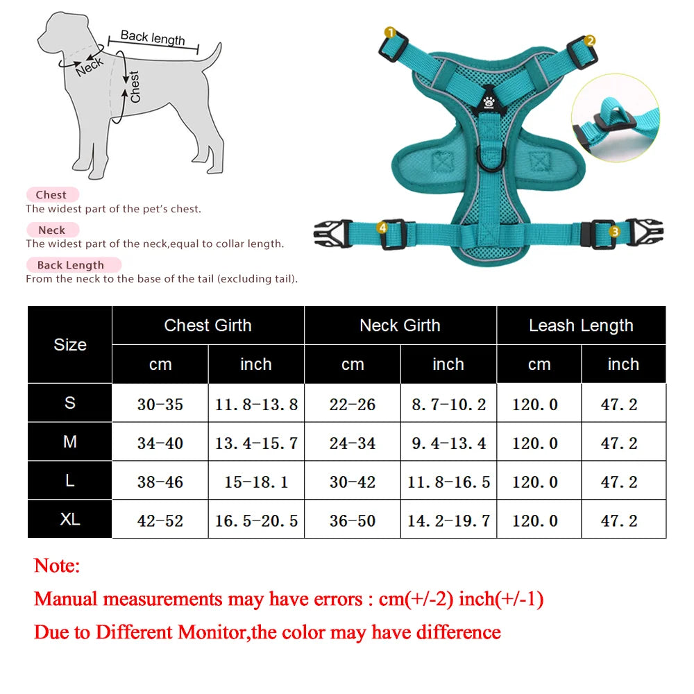 Adjustable Mesh Pet Harness & Coordinating Leash Set