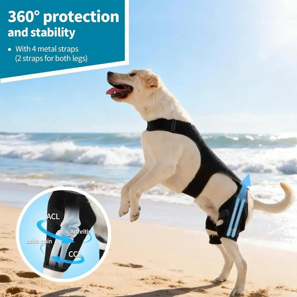 Adjustable Dog Rear-Leg Brace with Wraparound Harness