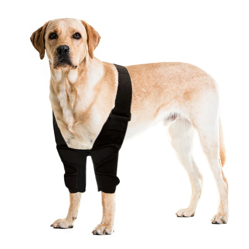 Dog Leg Wraps and Connected Paw Covers, Six Styles