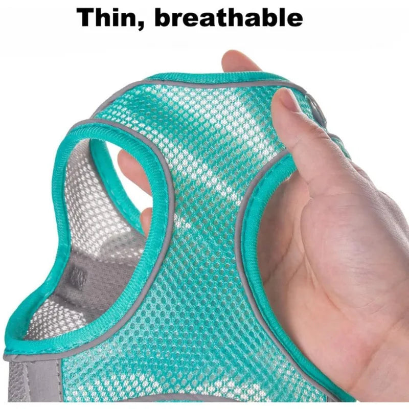 Reflective-Trim Pet Vest Harness & 1.5 m Leash Set