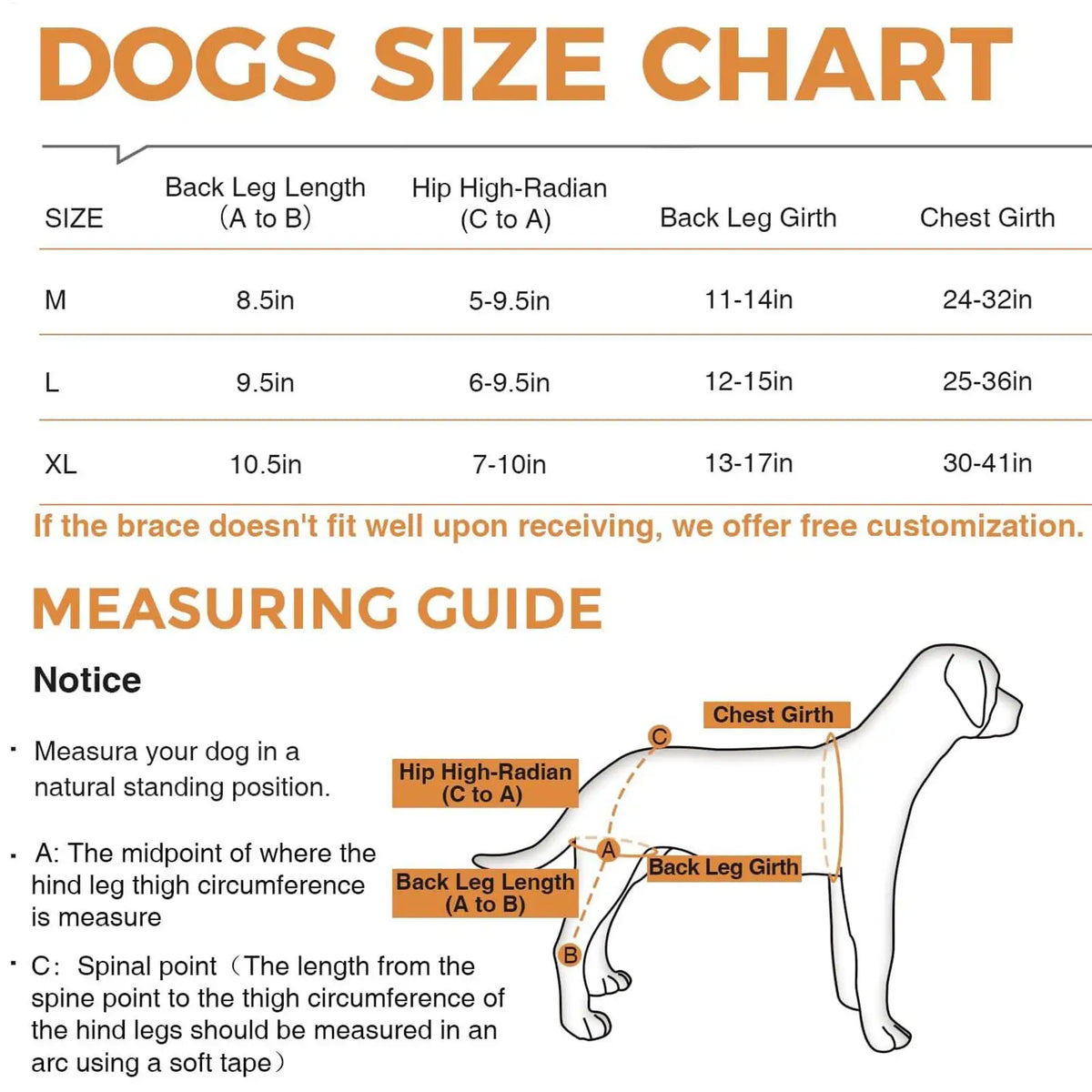Dog Rear-Leg Brace with Adjustable Chest Harness