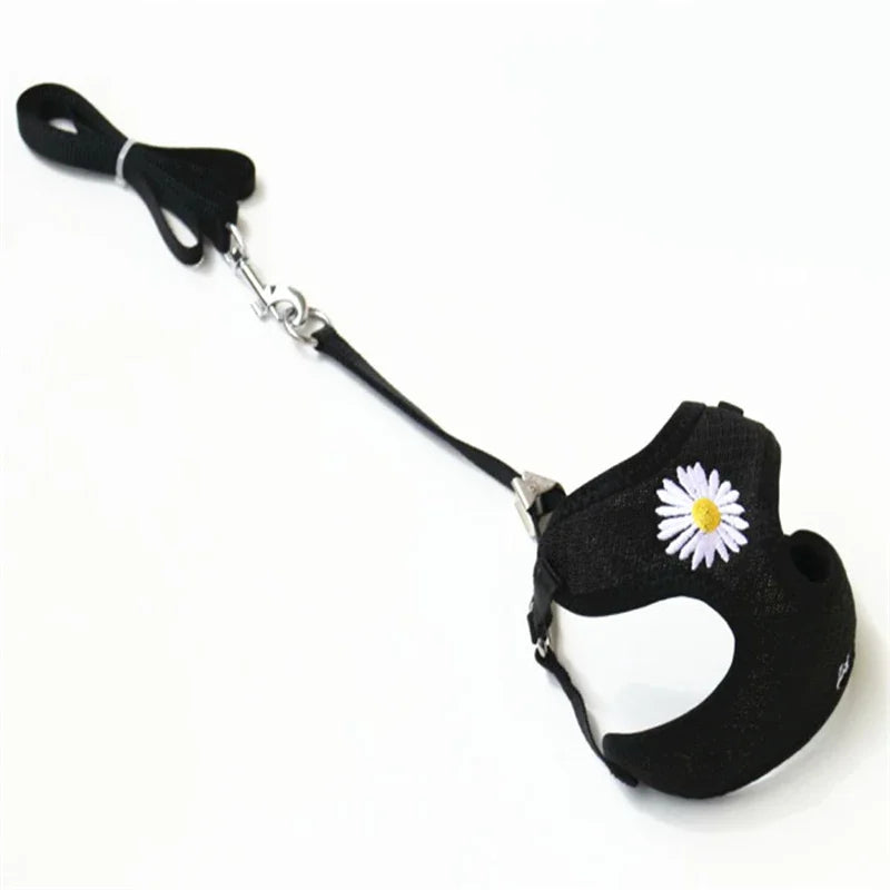 Daisy-Embroidered Mesh Pet Harness & 120 cm Leash Set
