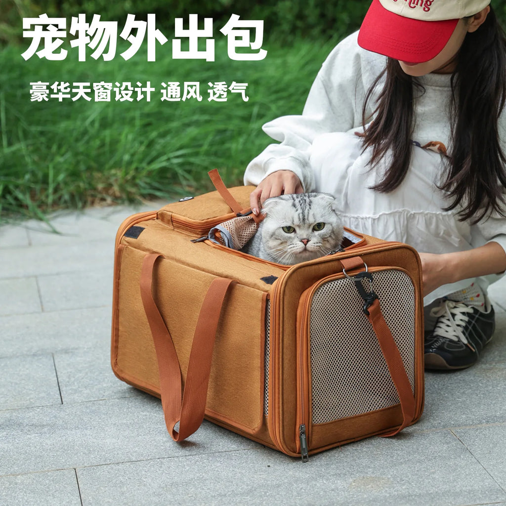 Foldable Mesh Pet Carrier with Front & Top Access